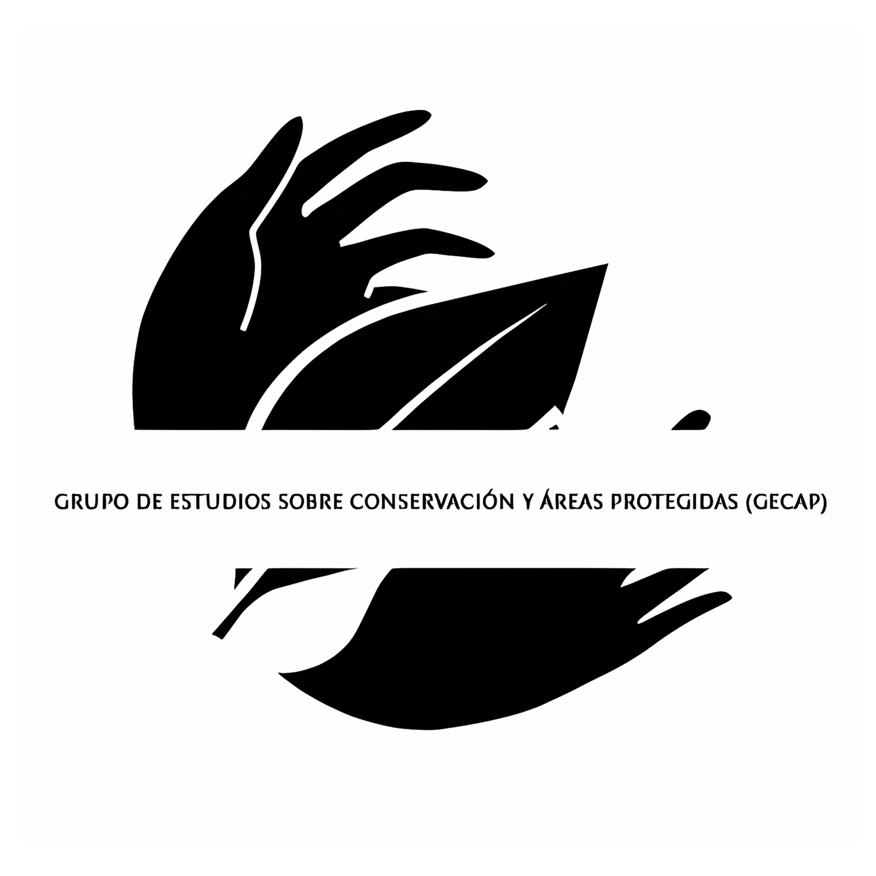Logo Grupo 45